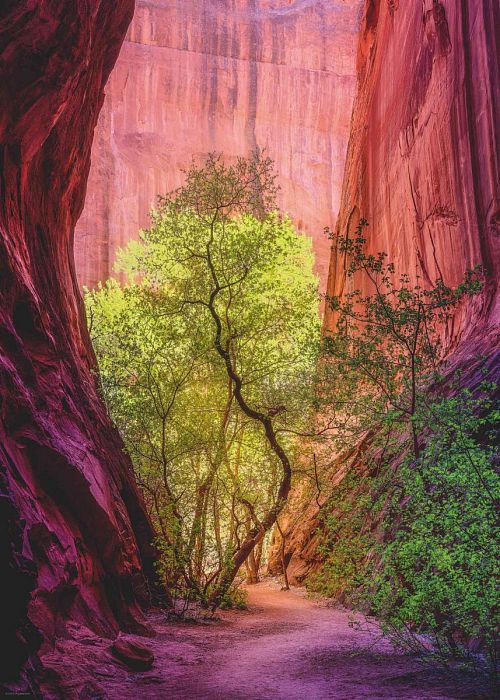 Puzzle Heye 1000 pieces: Singing Canyon 29944