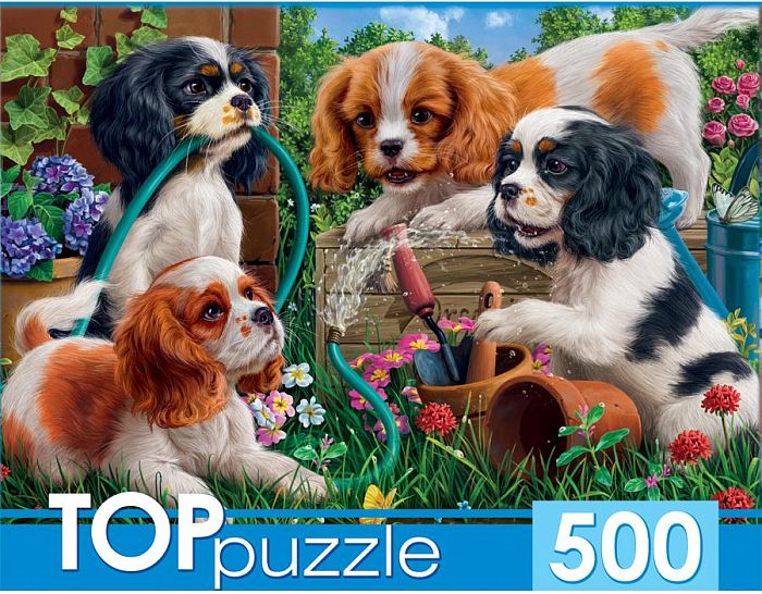 TOP Puzzle 500 pieces: Spaniel puppies in the garden ХТП500-5726