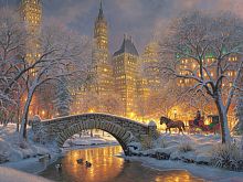 Puzzle Cobble Hill 500 pieces: Winter Park in the city
