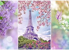 Puzzle Trefl 1000 pieces: Spring in Paris. Romance