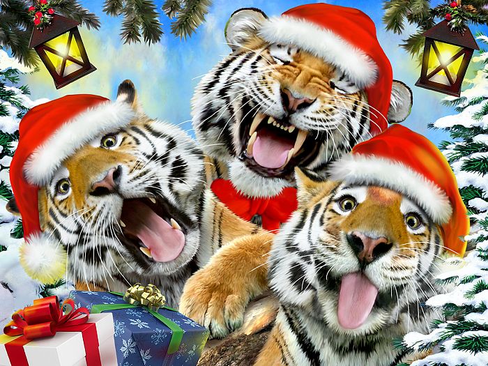 Puzzle Prime 3D 100 details: New Years selfie of tiger cubs 13935.