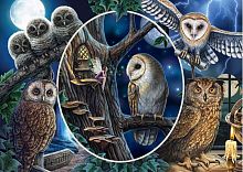 Schmidt puzzle 1000 pieces: L. Parker Mysterious owls