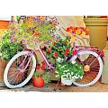 Раздел анонс: Пазл Magnolia 1000 деталей: Велосипед с цветами (MG3502)