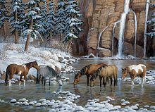 Cobble Hill puzzle 1000 pieces: Horses at the waterfall