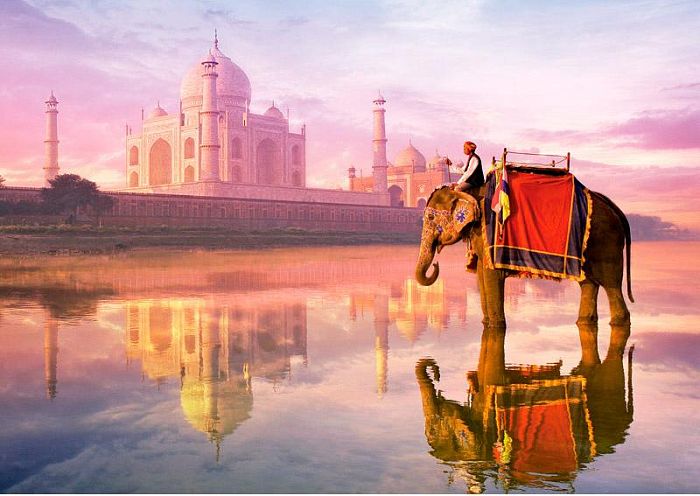 Jigsaw puzzle 1000 pieces Educa: Elephant at the Taj Mahal 16756