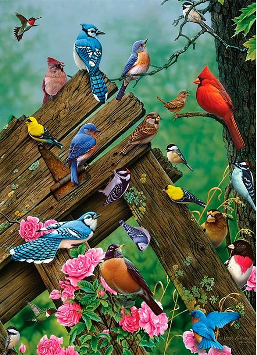 Cobble Hill puzzle 1000 pieces: Forest birds 51781/80086