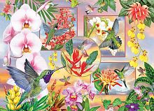 Puzzle Cobble Hill 500 pieces: hummingbirds and orchids