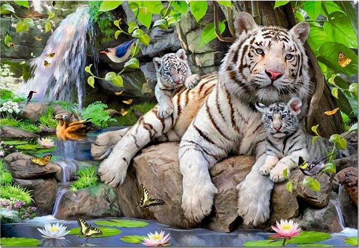 Jigsaw puzzle 1000 pieces Educa: White Bengal tigers 14808