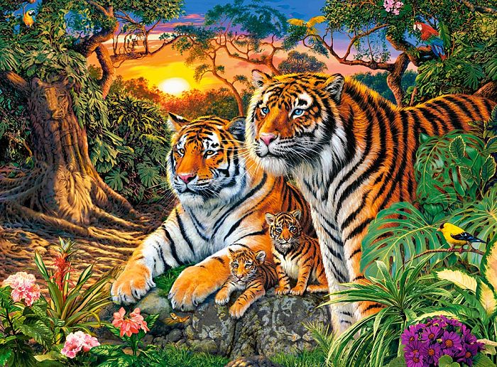 Puzzle Castorland 2000 details: A family of tigers C-200825