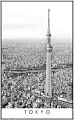 Раздел анонс: Пазл Pintoo 1000 деталей: Черное и белое. Токио (Н2613)