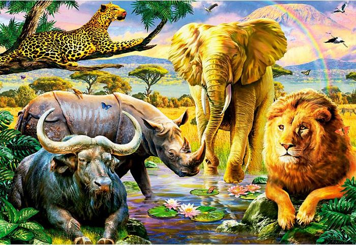 Jigsaw puzzle 1000 pieces Educa: the Big five 16748