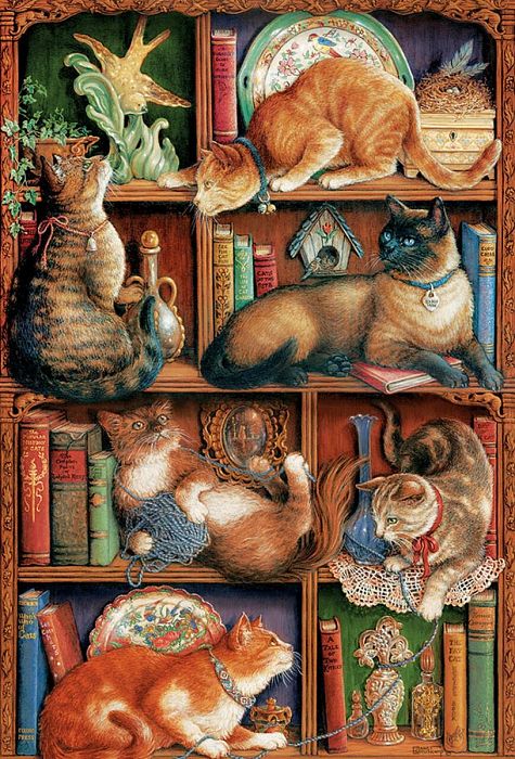 Puzzle Cobble Hill 2000 details: Cats on the shelves 50710/89001